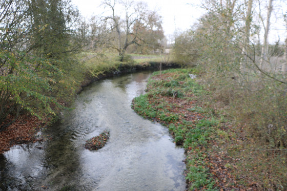 Le tréfle au Pont de Réaux