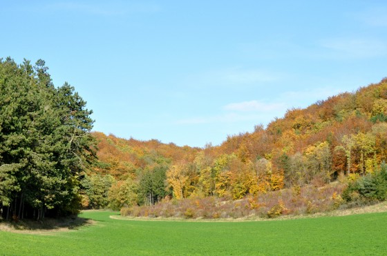 Le Val Pisse Loup