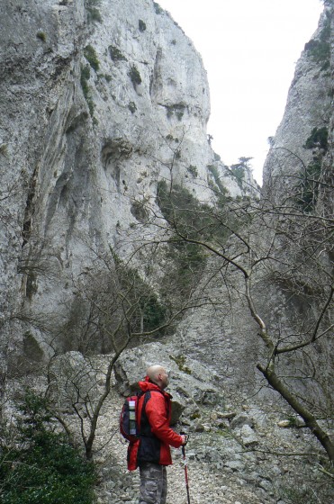 le vallon de Combrès