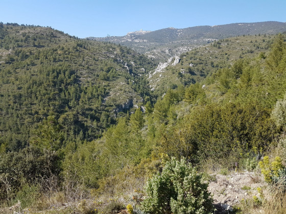 Le vallon de Dausserand