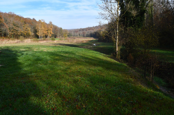 Le vallon de Grandfontaine