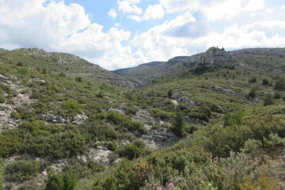 Le vallon de l\'Amandier