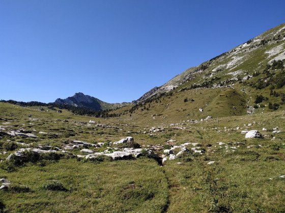 Le Vallon de Marcieu