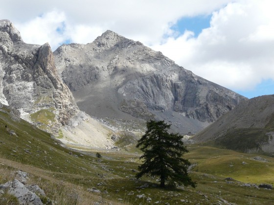 Le vallon de plate Lombarde