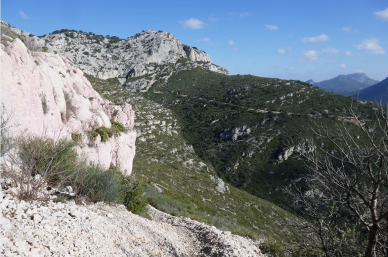 Le vallon des Bonnes Herbes