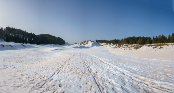 Le vallon en direction du Berbois
