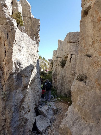 Le vallon Mestrallet
