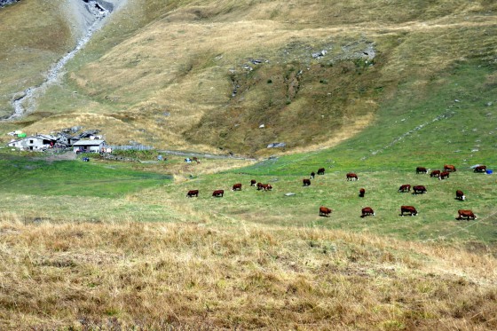 Le Vallon