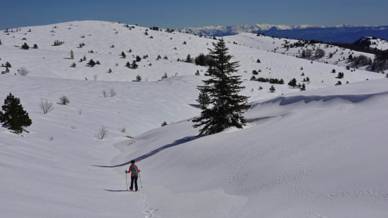 Le vallon