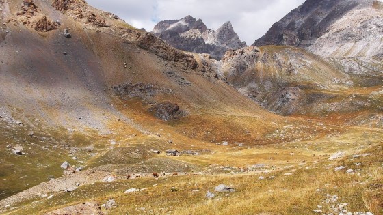 Le Vallonnet