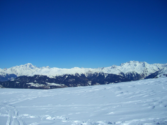 Le Verdet