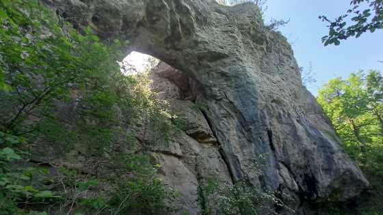 Le Viaduc et les Arches