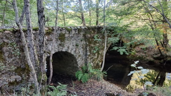 Le vieux pont en pierre