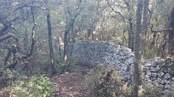 Le vieux Roquefort