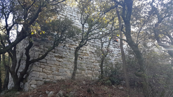 Le vieux Roquefort