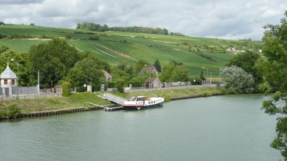 Le Vignoble et la Marne