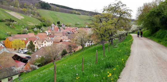 Le village de Bernardwiller