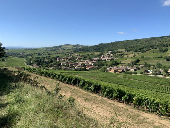 Le village de Chasselas et son château