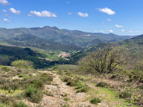 Le village de Saint Gervais sur Mare dans le fond