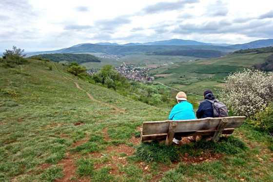 Le village de Westhalten vu depuis le Strangenberg