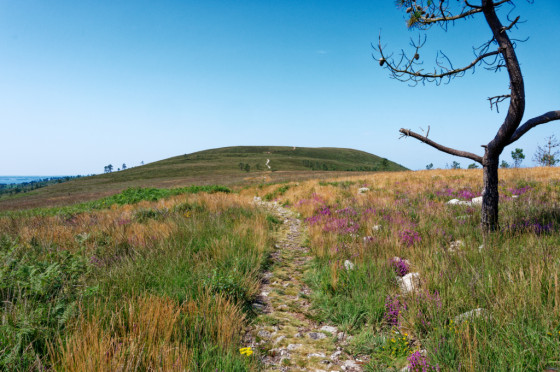 Le Yed, sommet principal du Ménez Hom
