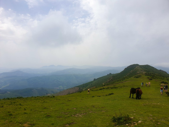 Le Zigorriaga
