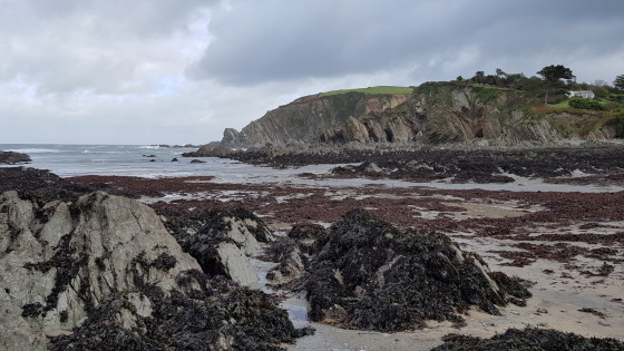 Lee Bay &agrave; mar&eacute;e basse
