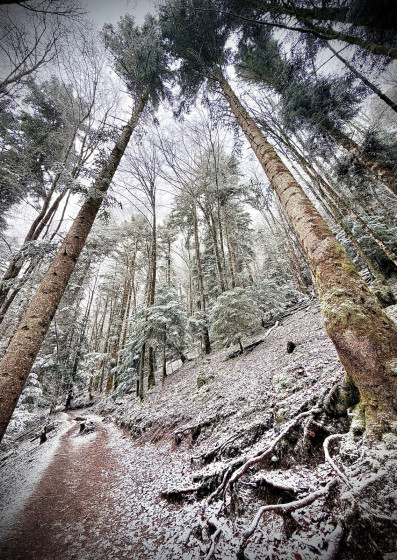 L&egrave;g&egrave;res neiges sur le sentier des cascades