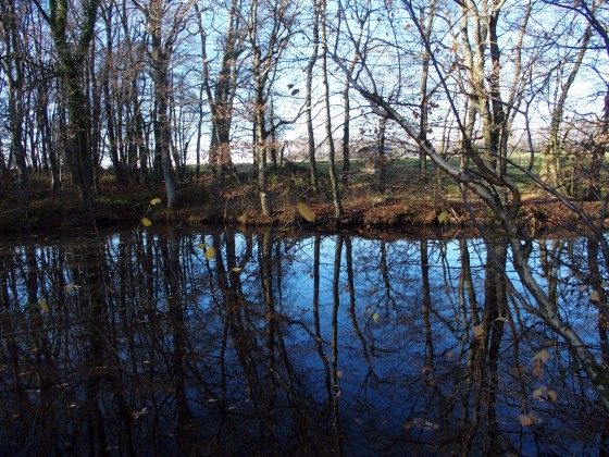 Lens Lestang