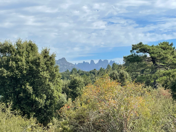 Les aiguilles de Bavella dans une trouée