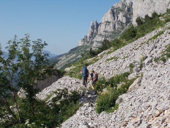 Les aiguilles