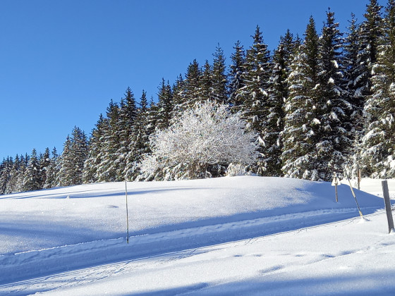 Les Allières Les Allières