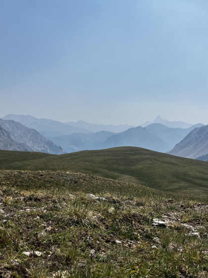 Les alpages du Col des Fonds