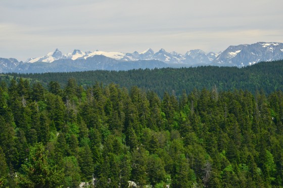 Les Alpes