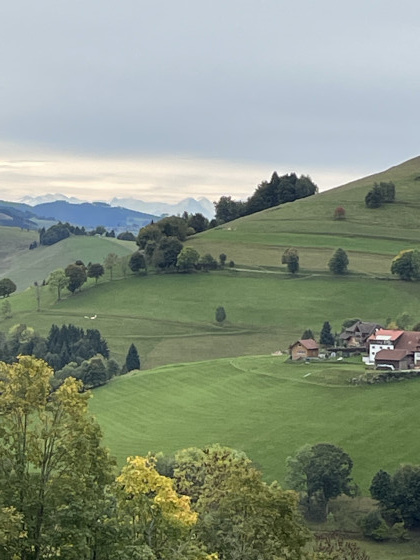 Les Alpes, vues entre le départ et le point 1