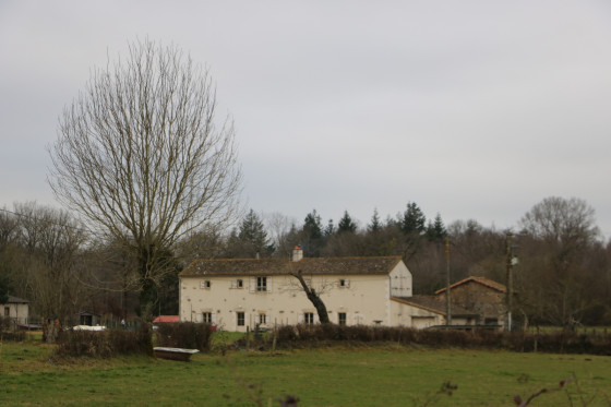 Les Andraudières