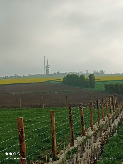 Les antennes