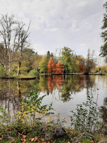 Les belles couleurs du Jardin d'O en automne