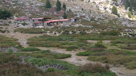 Les Bergeries d'Alzo