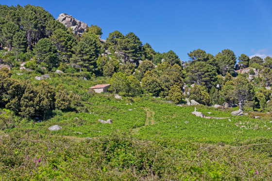 Les bergeries de Bitalza...