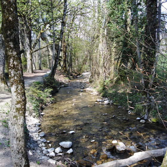 Les Berges du Journans