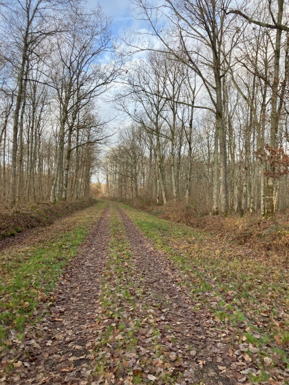 Les Bois de la Madeleine