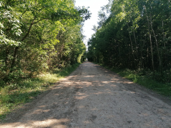 Les bois de Mol&eacute;ans