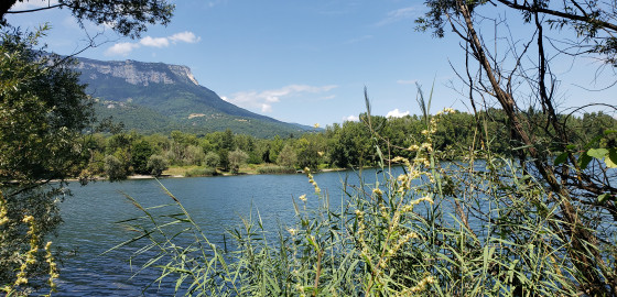 Les bords de l'&eacute;tang de L&ocirc;nes