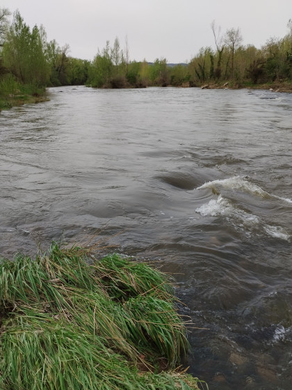 Les bords de Loire