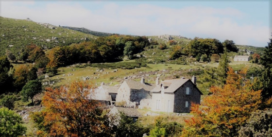Les Bouzedes