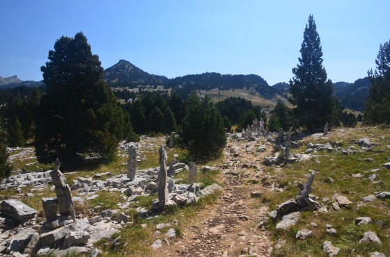 Les Cairns ça poussent tout seul?
