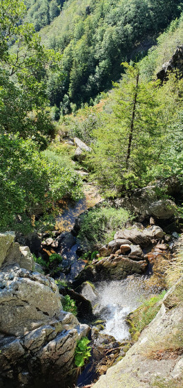 les cascades