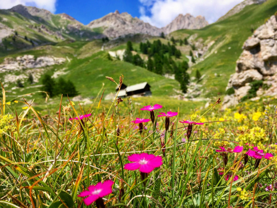 Les chalets au printemps