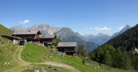 Les chalets d'Arnitz Alm